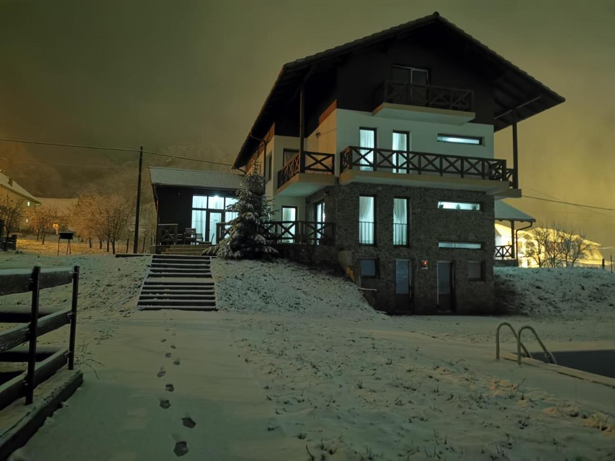 Pensiunea La Nenea Iancu Pianu de Sus Екстериор снимка