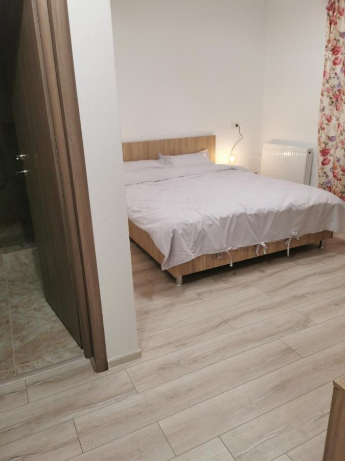Pensiunea La Nenea Iancu Pianu de Sus Екстериор снимка